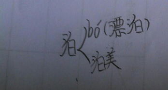 泊多音字组词组，泊多音字注音并组词