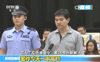 孙新占，孙新华