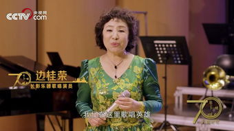 边桂荣是屠洪刚的母亲吗