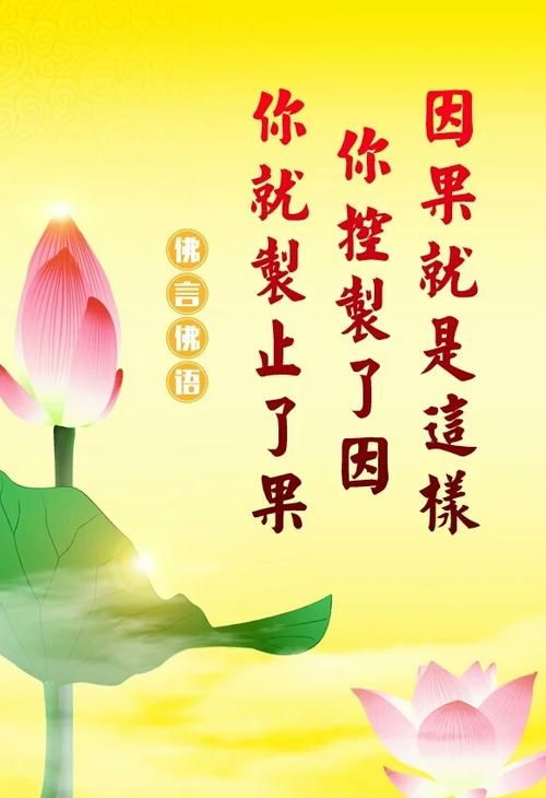 因果的真正含义是什么
