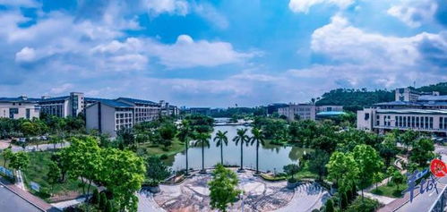 东莞城市学院怎么样好不好，东莞城市学院2023招生计划