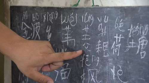 瘫痪的拼音暴怒的拼音沉寂的拼音待弄的拼音，瘫痪的拼音及意思
