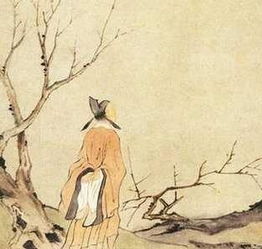 劝君莫惜金缕衣什么意思，劝君莫惜金缕衣全诗解释