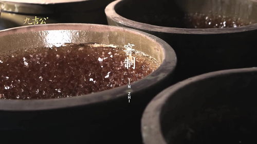 窨字的意思 窨是什么意思