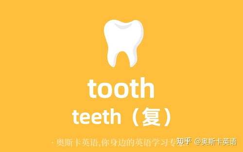Tooth(牙齿)的复数形式怎么写昵