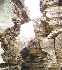 郯城地震发生在哪一年，郯城地震断裂带遗址
