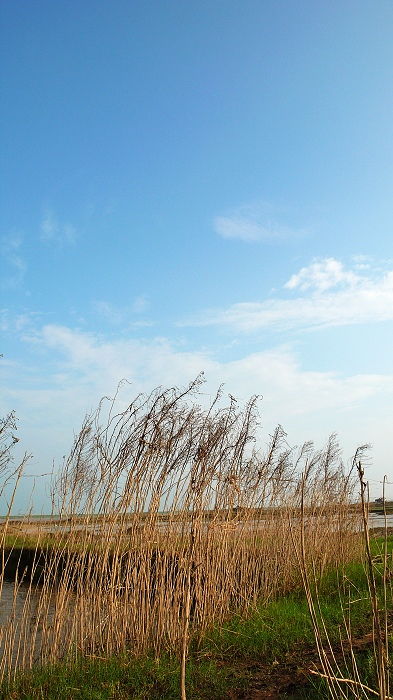 洪湖天气预报30天准确 一个月，洪湖天气预报15天当地