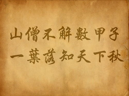 一知半解的意思打一动物，一知半解的意思是什么?