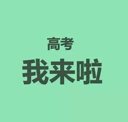 高考喊出来的励志口号