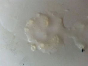 稠是什么意思