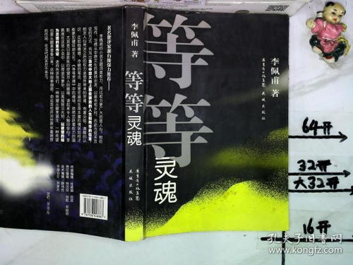 让脚步慢下来,等等灵魂，等等灵魂 李佩甫