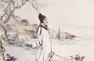 柳宗元《宋清传》翻译