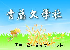 赞美松的现代诗,松啊