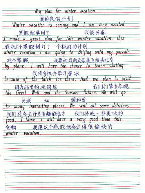 我的寒假计划作文