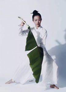 浩浩乎如冯虚御风的通假字