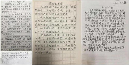 美好生活劳动创造作文450字，美好生活劳动创造作文300字
