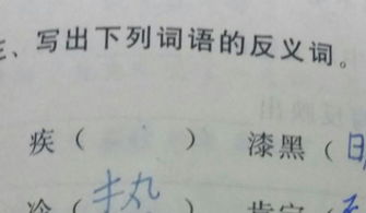 抵御的近义词是什么词语，抵御的近义词标准答案