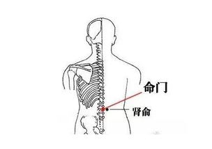 上丹田,中丹田,下丹田的位置