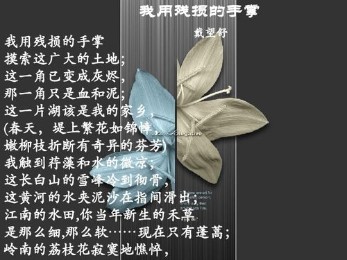我用残损的手掌原文，我用残损的手掌选自