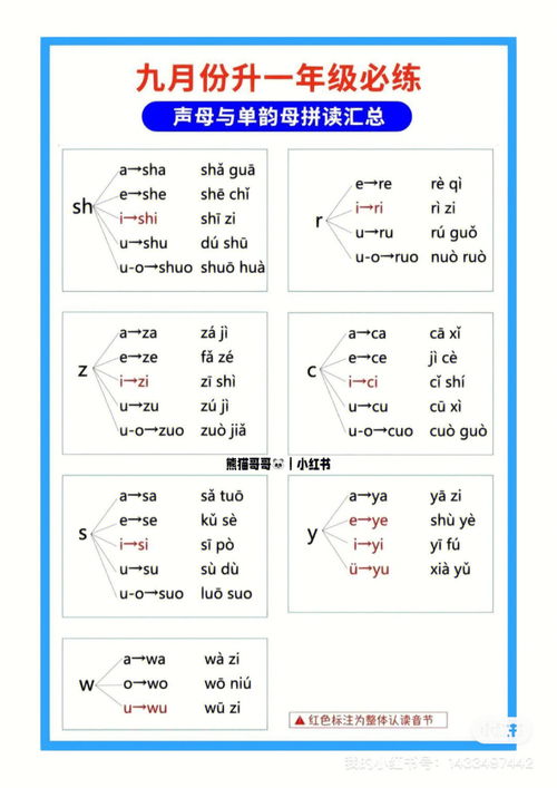 言的拼音，语言的拼音拼写