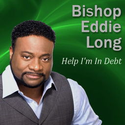 indebtedness，debt