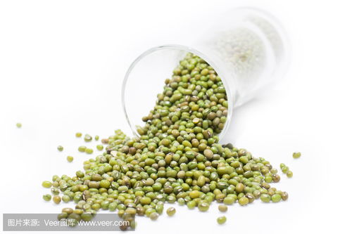 greenbeans什么意思，greenbean是什么意思英语