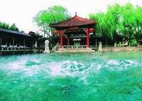 趵突泉在哪里个城市