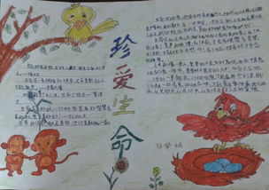 珍爱生命呵护健康的手抄报 珍爱生命手抄报