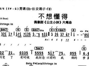 不想懂得张韶涵歌词
