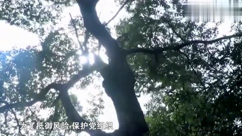 攀附的意思