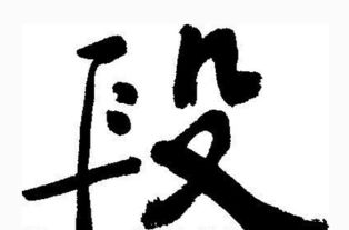 段姓起名字大全男孩，段姓起名俩字