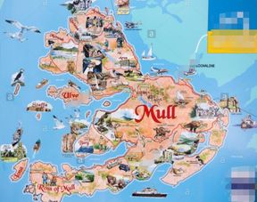 mull是什么意思英语，mull表示什么意思