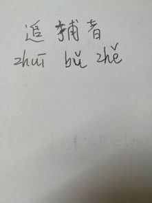 追的拼音怎么读，追溯的拼音