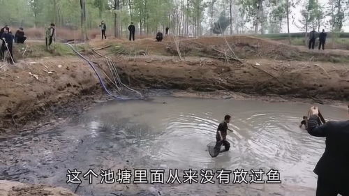 什么河里从来没有水?