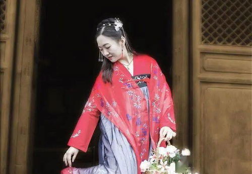 秦氏有好女的好字是什么意思，秦氏有好女,自名为罗敷翻译