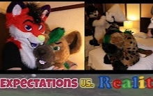 furry单词的含义是什么?
