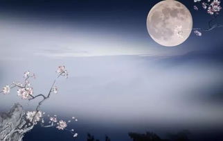 当时明月在小莲线，当时明月在,曾照彩云归全诗