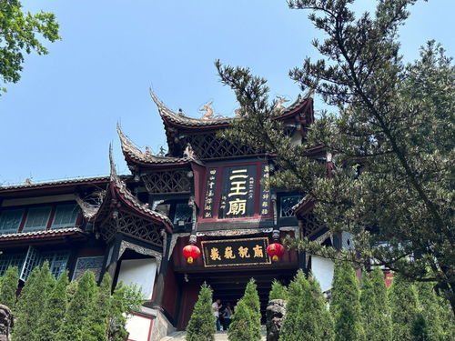 青城山天气预报24小时实时天气，青城山天气24小时预报