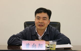 爱你一生向阳为什么坐牢