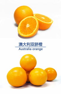 冻的拼音组词组