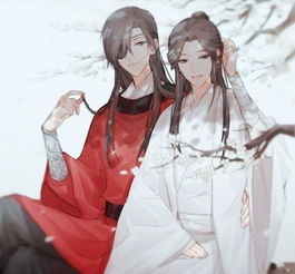 《天官赐福》里,四大害中能力最强的是谁?