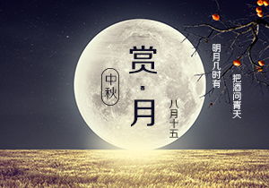 中秋赏月优秀作文