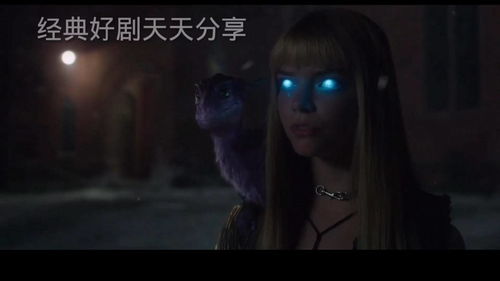 战胜恐惧的名人名言，战胜恐惧的名人例子