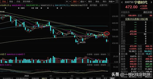 两极反转形容什么?