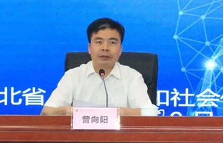 曾向阳和张闹为啥会结婚，曾向阳和张闹第几集离婚的