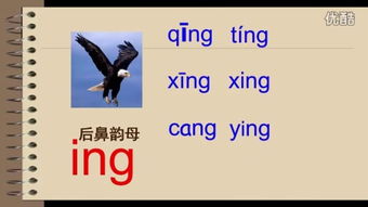 拼音打字教学零基础入门，拼音字母