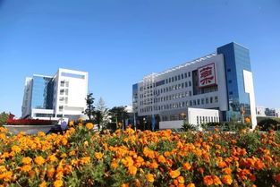 山东省专科院校有哪些