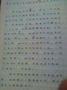 争论初一作文600字