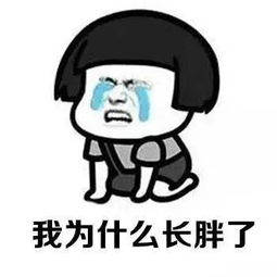 hey你这个大胖子，你这个大胖子用英语怎么说