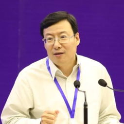 请问中国公民使用双重国籍的这种违法情况,国内法律怎么规定惩罚的